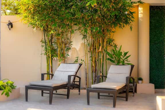 Apartment 1 BR, Pool, Gym & Terrace - Imagen 1