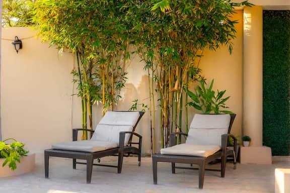 Spacious Double Bedroom | Pool, Gym & Terrace - Imagen 4